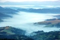 Morning dense fog in the mountainous forest area of the Ukrainian Carpathians. Landscape in nature. Dawn in the mountains